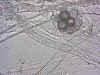 saproleg.jpg (94928 bytes)