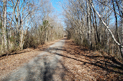 Former Decatur to Nashville Railroad Line